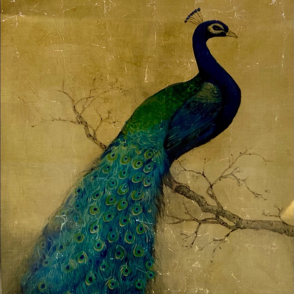 Gold Peacock Printed on Transparencies 54”x42”.